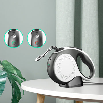 Automatische Rollleine für Haustiere. Neues Produkt wird mit Licht aufgeladen.
